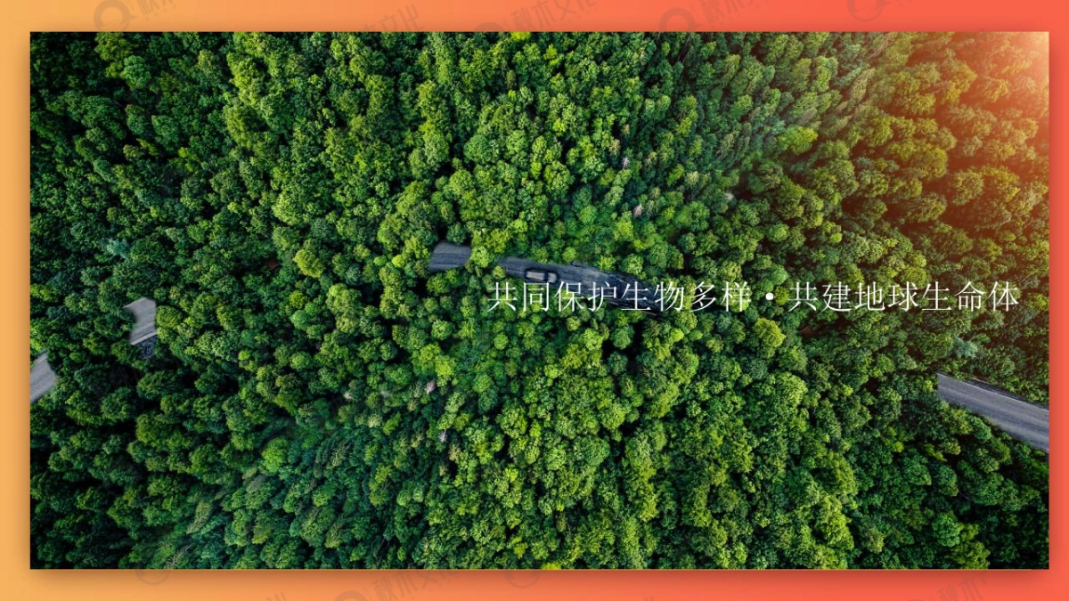 2024新城·安宁院子国庆生物多样性主题科普展「生态野趣+自热而然主题」活动策划方案_第4页