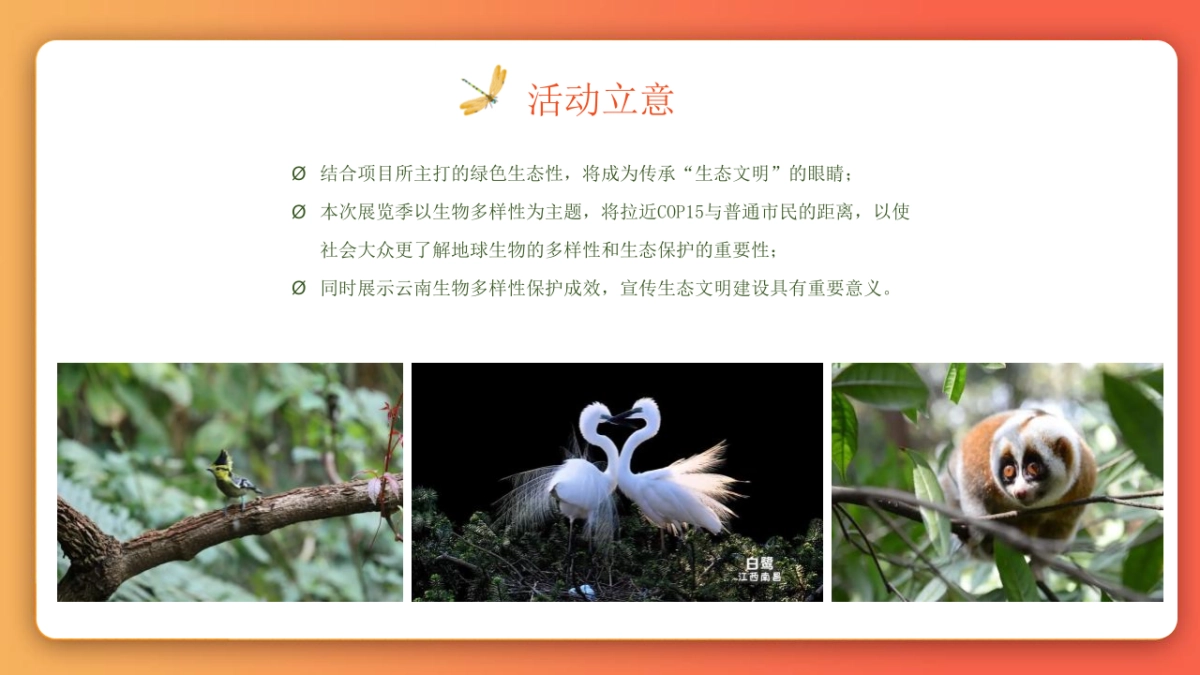 2024新城·安宁院子国庆生物多样性主题科普展「生态野趣+自热而然主题」活动策划方案_第6页