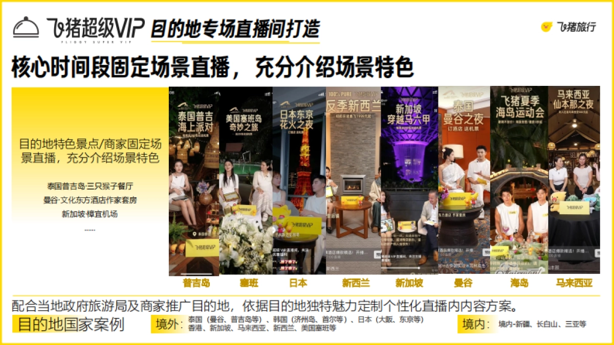 2025年飞猪超级VIP营销合作方案_第4页