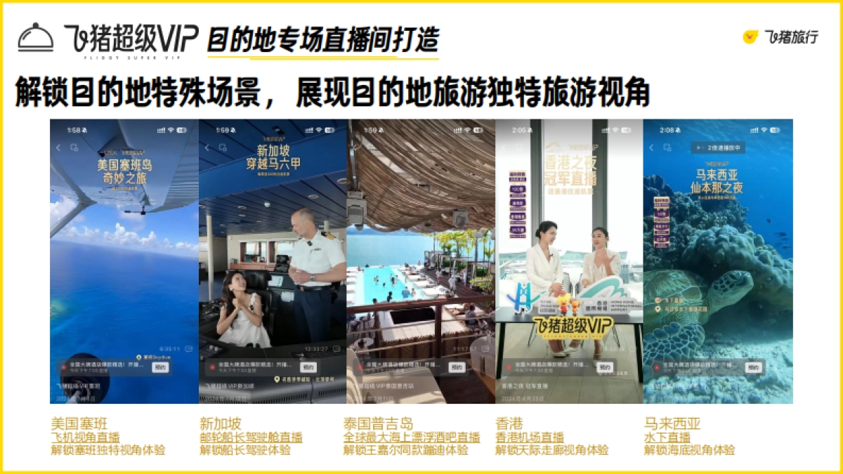 2025年飞猪超级VIP营销合作方案_第5页