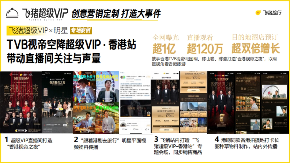 2025年飞猪超级VIP营销合作方案_第6页