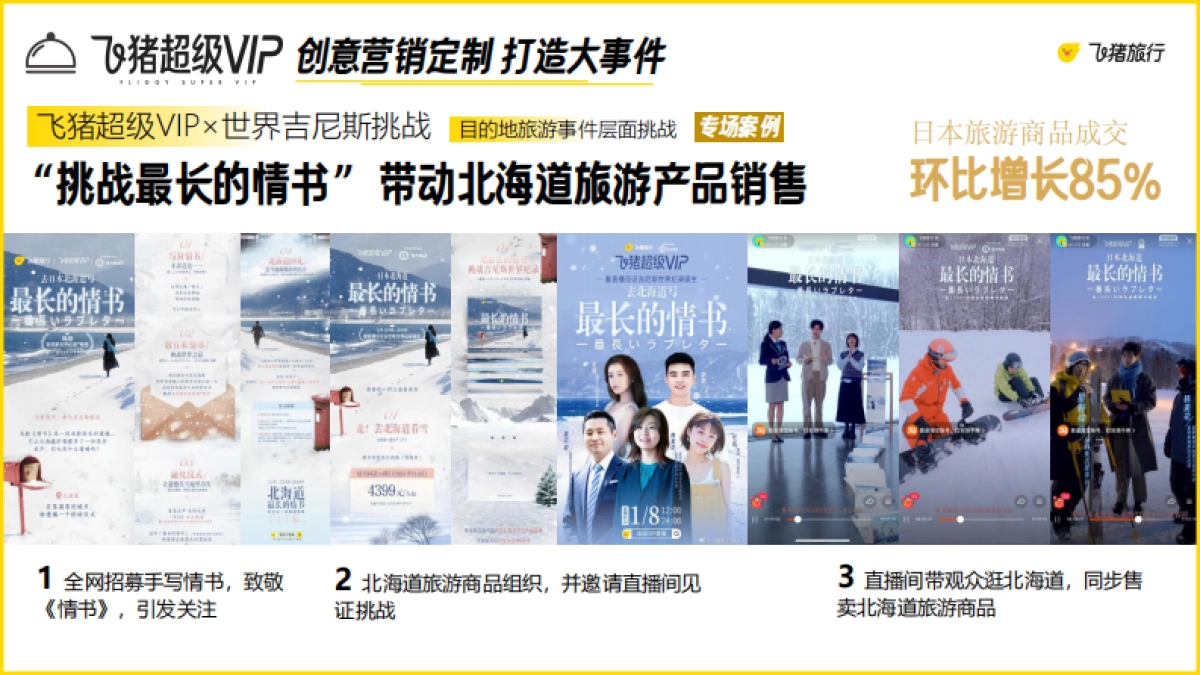 2025年飞猪超级VIP营销合作方案_第7页