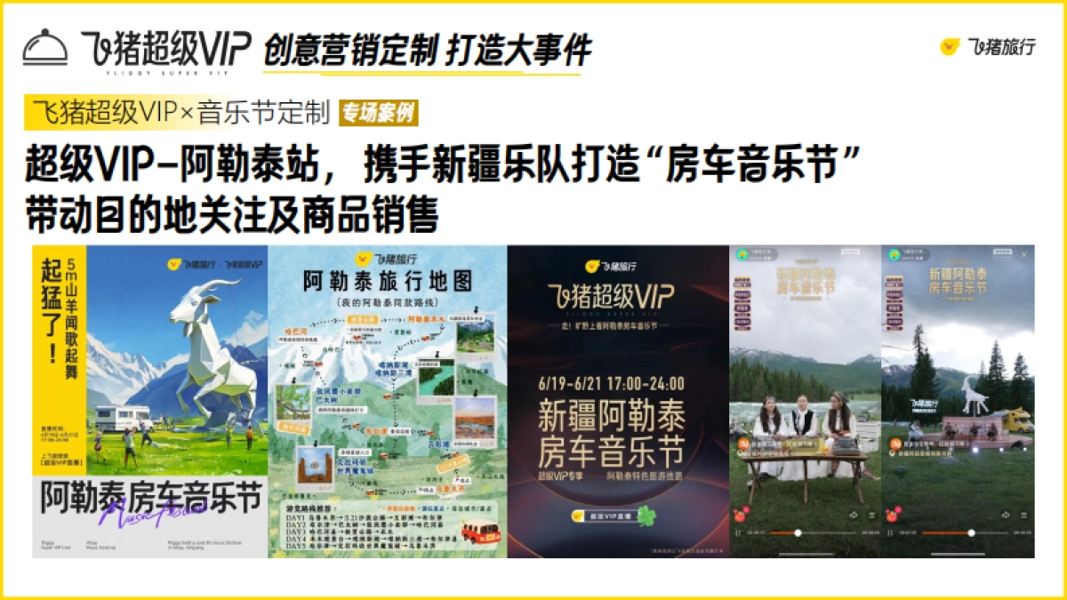2025年飞猪超级VIP营销合作方案_第8页