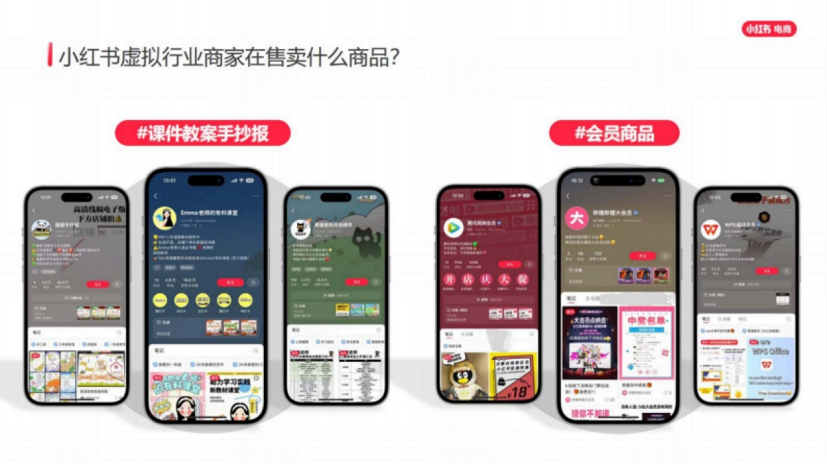 2025小红书虚拟行业经营一本通_第5页