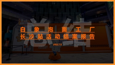 白象泡面工厂长沙站活动结案报告