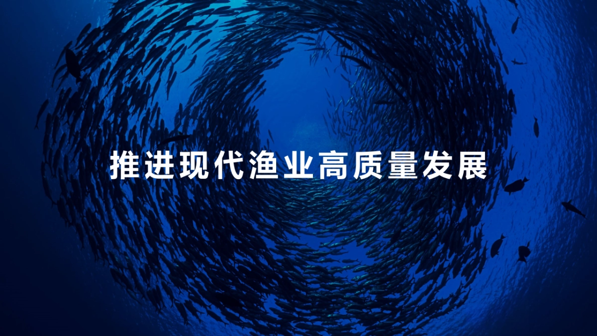 2024渔业博览会氛围提升方案_第4页