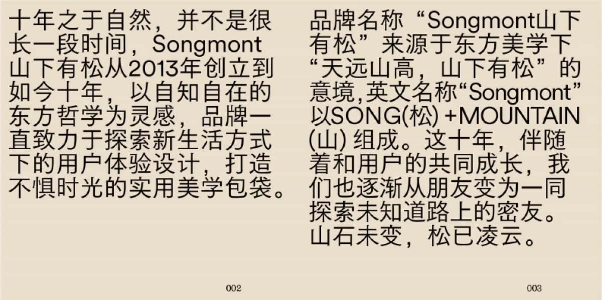 山下有松十周年方案_第4页