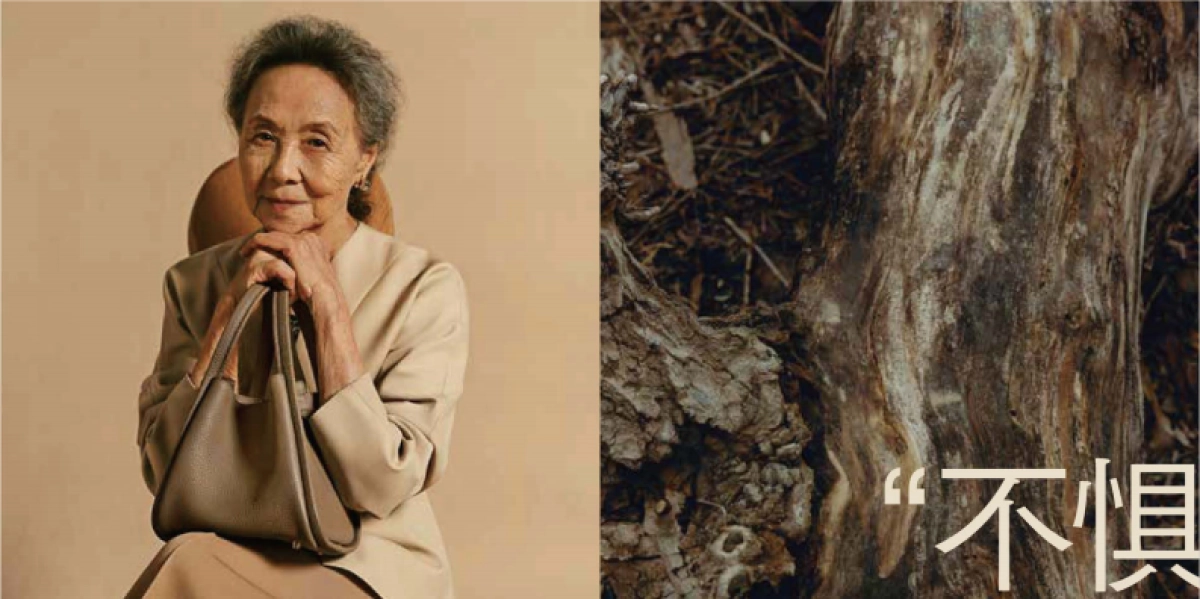 山下有松十周年方案_第8页