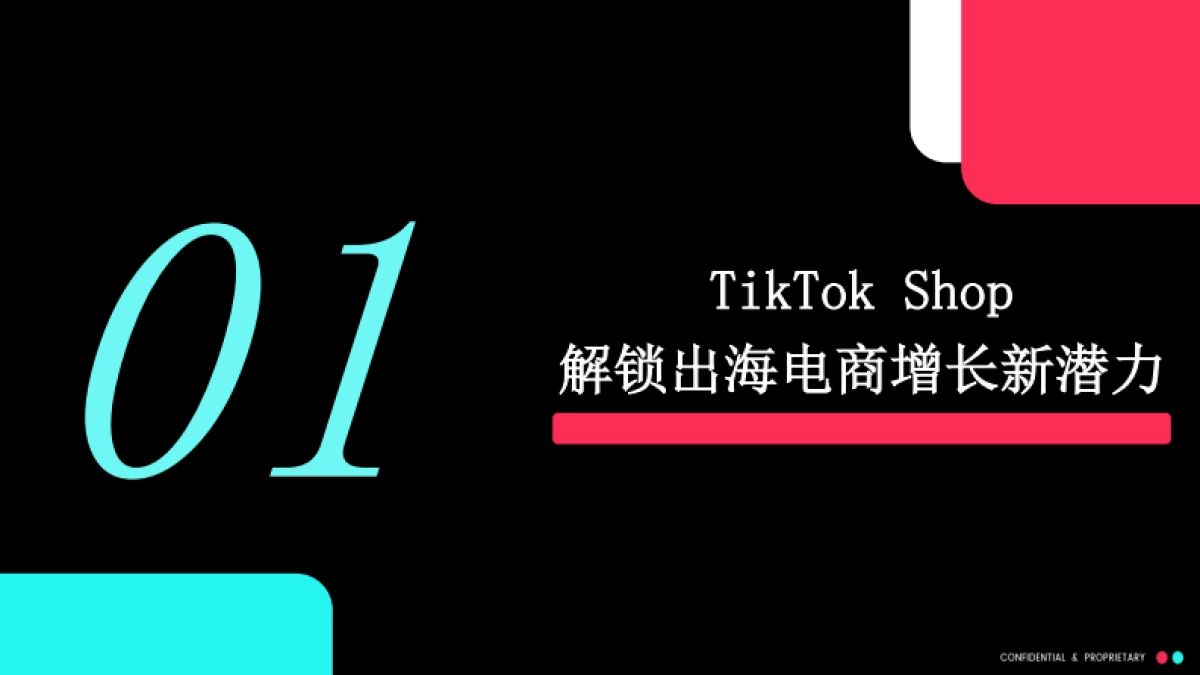 TikTok美区跨境自运营模式(POP）招商通案_第3页
