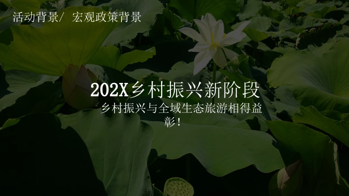 2025国潮荷花节策划方案+传播推广方案_第4页