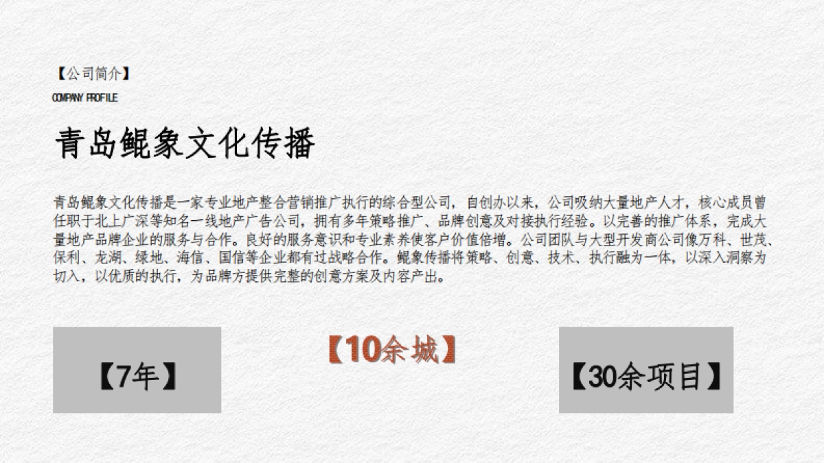 2023青岛港邮轮母港启动区公寓项目年度推广案_第3页