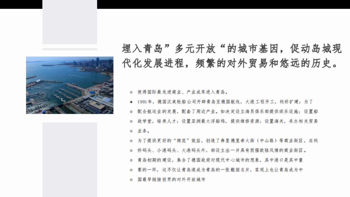 2023青岛港邮轮母港启动区公寓项目年度推广案_第9页