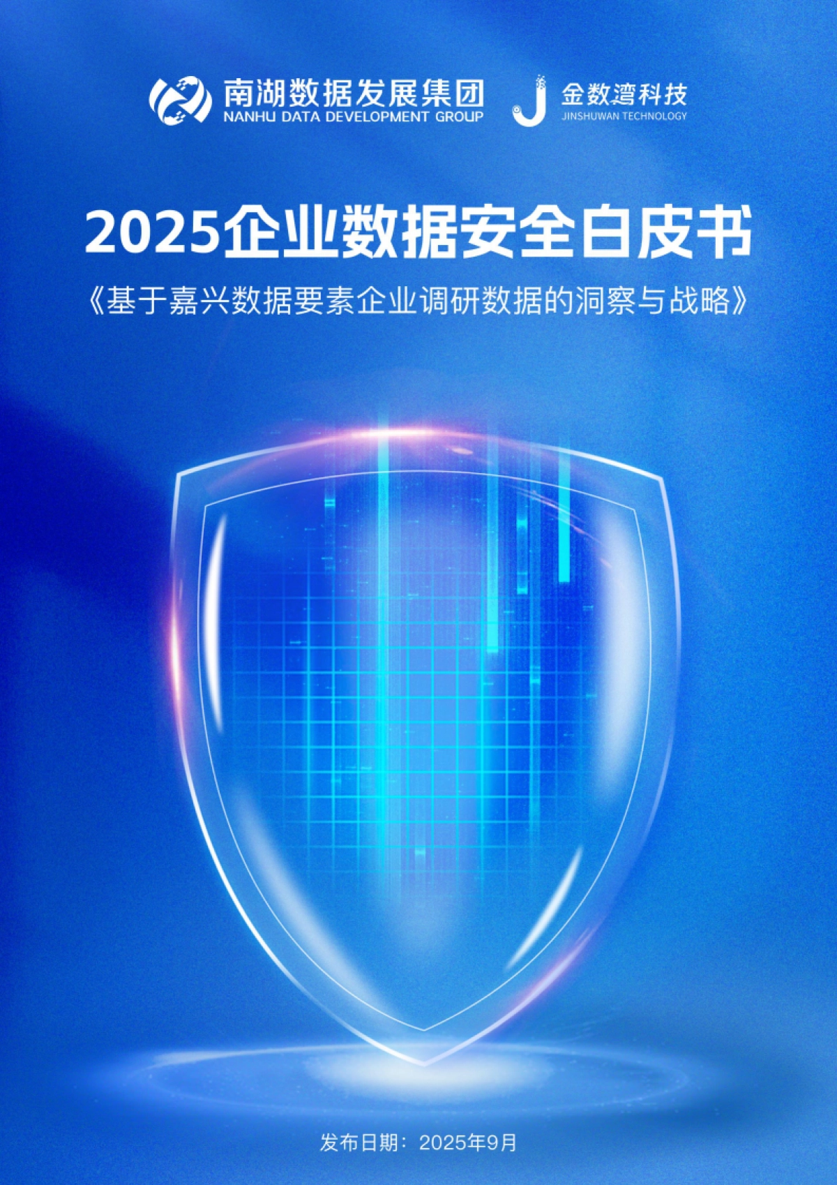 2025年企业数据安全白皮书-基于嘉兴数据要素企业调研数据的洞察与战略-金数湾科技&南湖数据_第1页