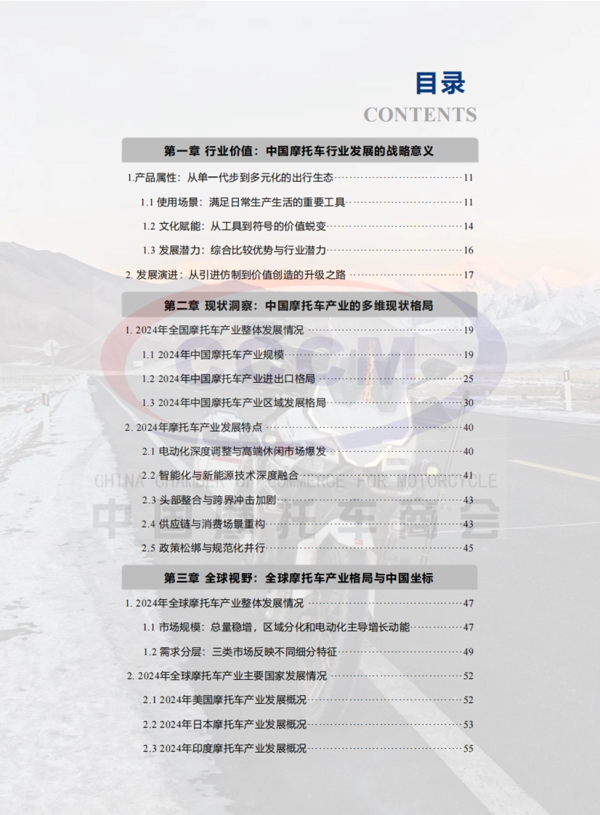 2024年中国摩托车产业发展报告-中国摩托车商会中大咨询_第8页
