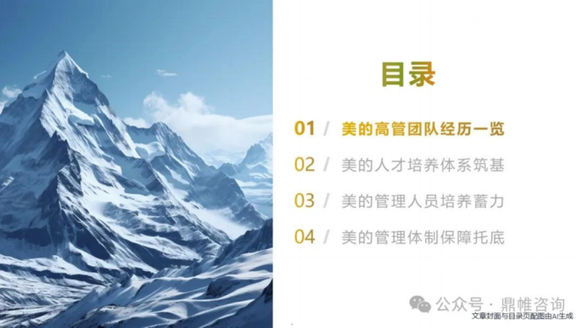 2025揭秘美的接班人计划与人才培养体系报告_第5页