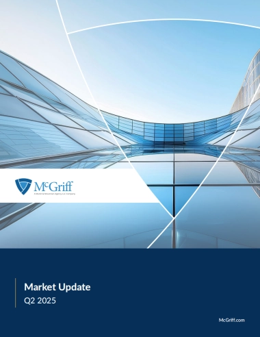 2025年安全与防护解决方案行业更新报告-华利安