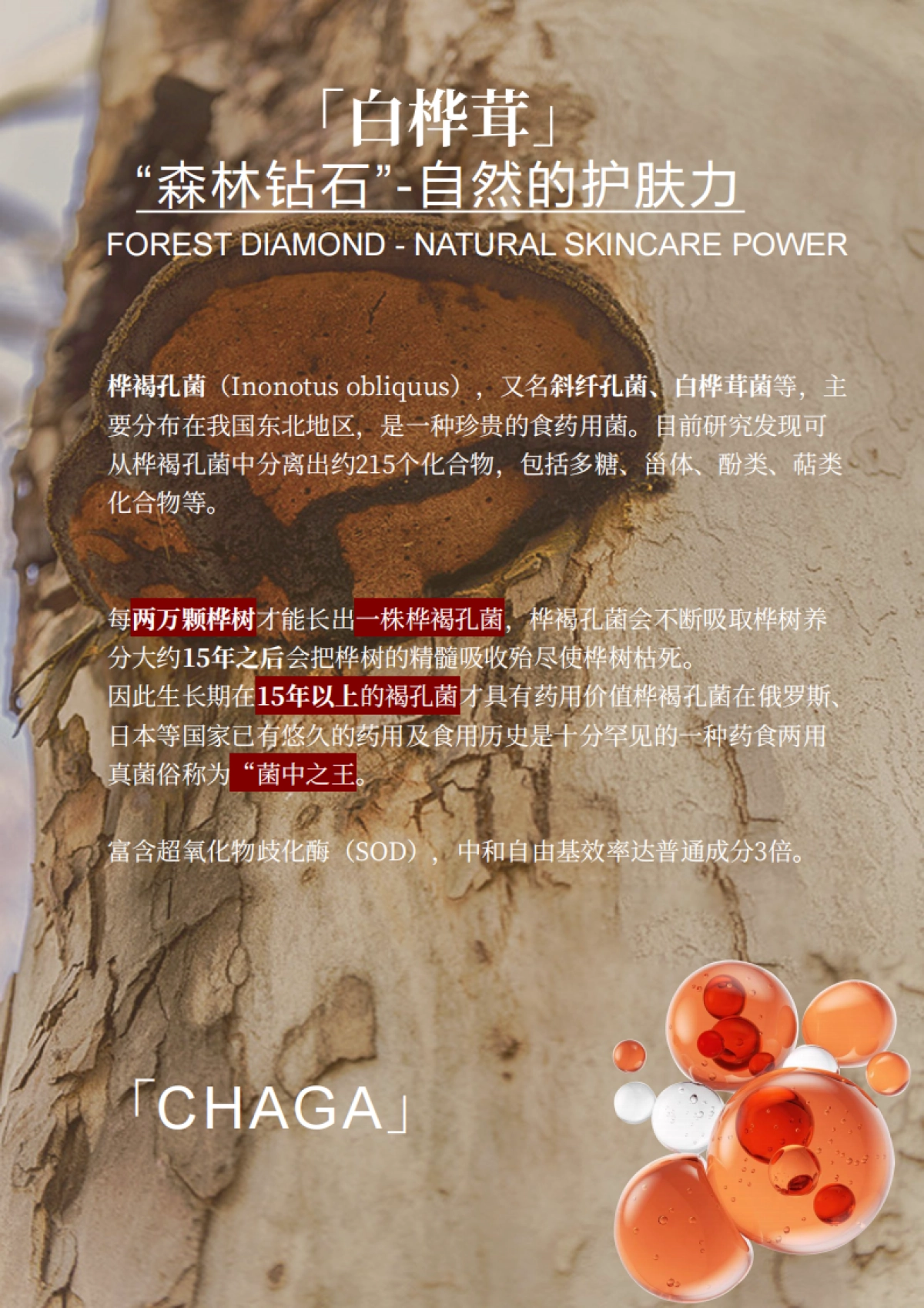 元气赋活抗皱乳霜面膜brief_第10页