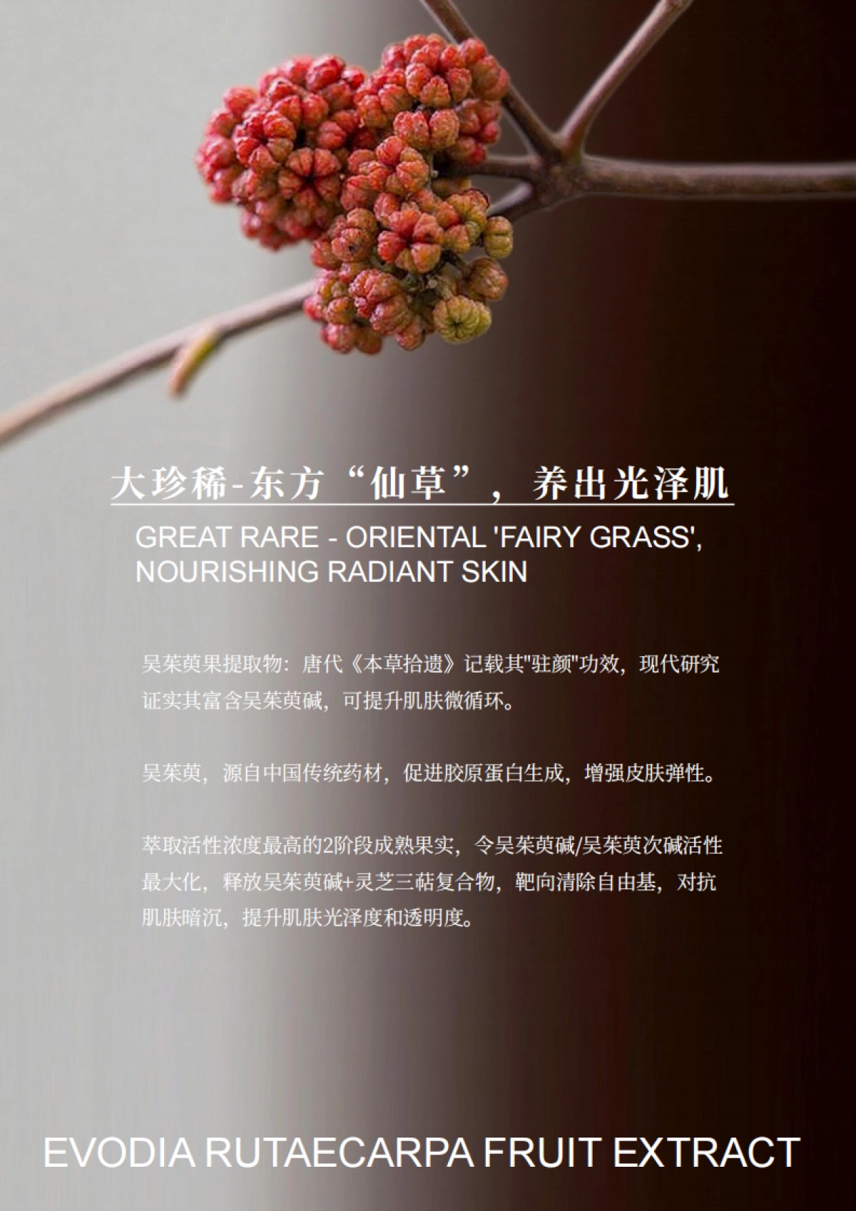 元气赋活抗皱乳霜面膜brief_第6页