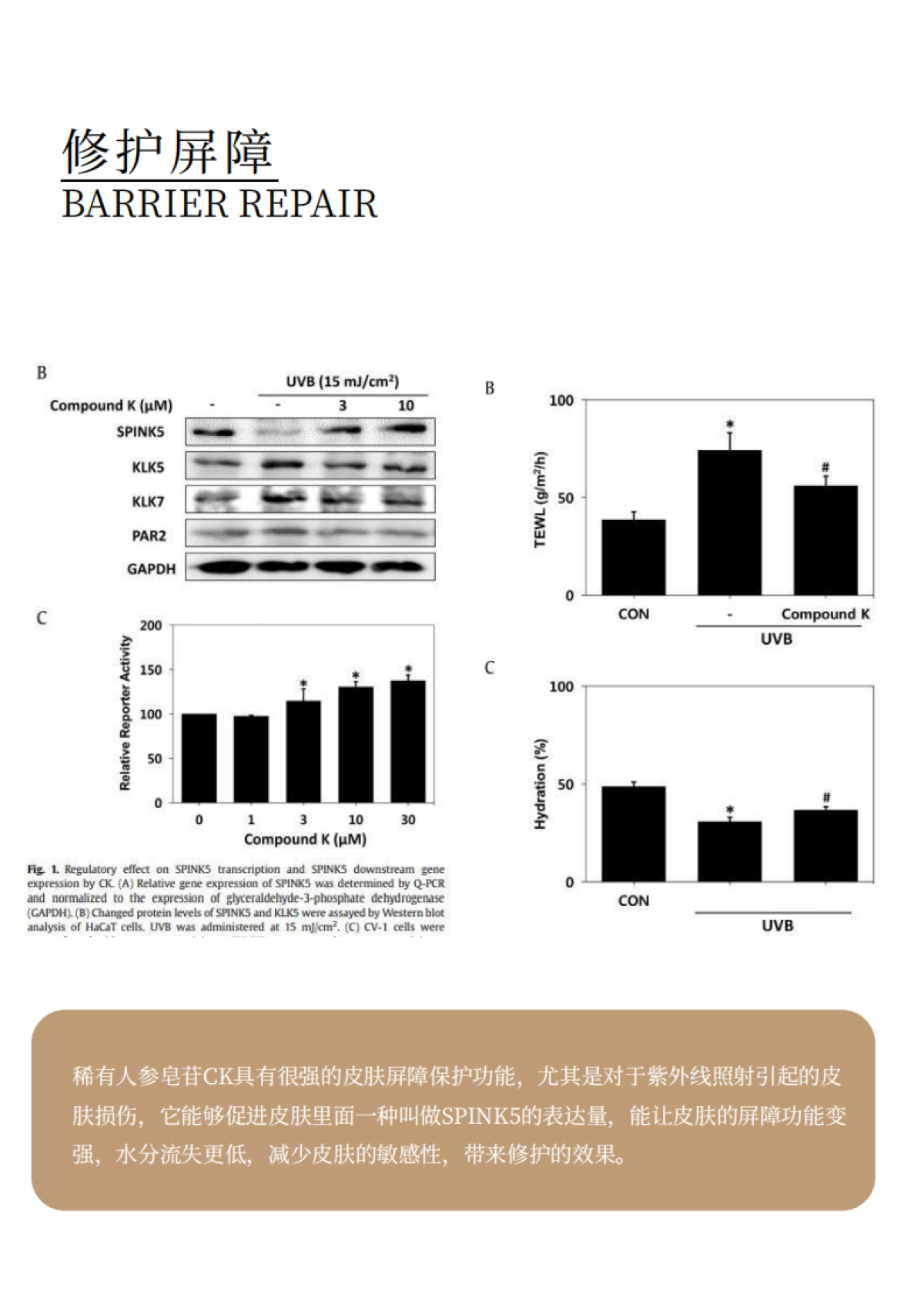 元气赋活抗皱乳霜面膜brief_第9页
