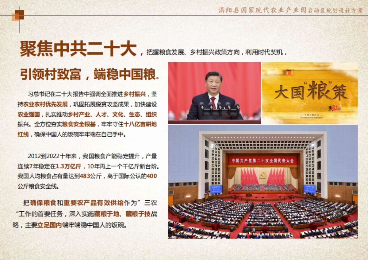 2024乡村文旅涡阳现代农业产业园启动区规划设计运营方案_第2页