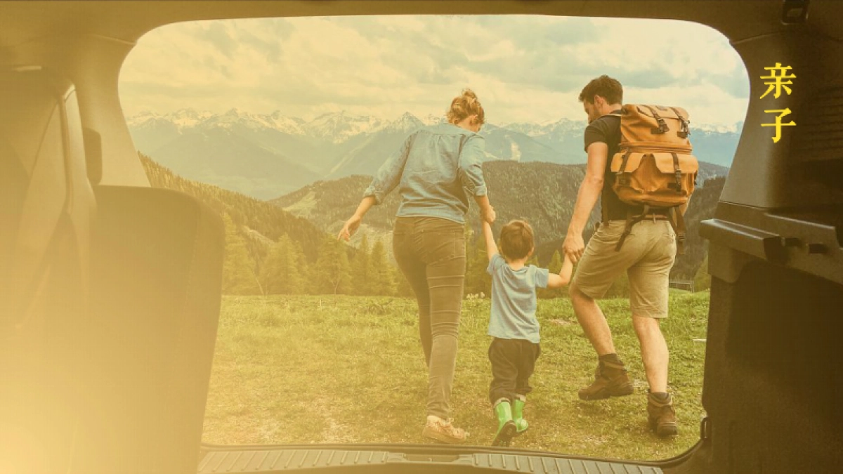 2024婚纱旅拍品牌小红书营销方案_第5页