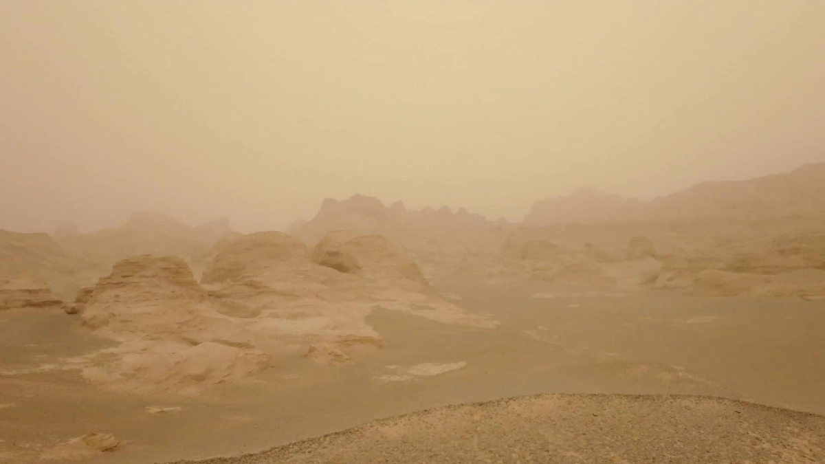 眷茶臻选品牌升级设计复盘_第6页