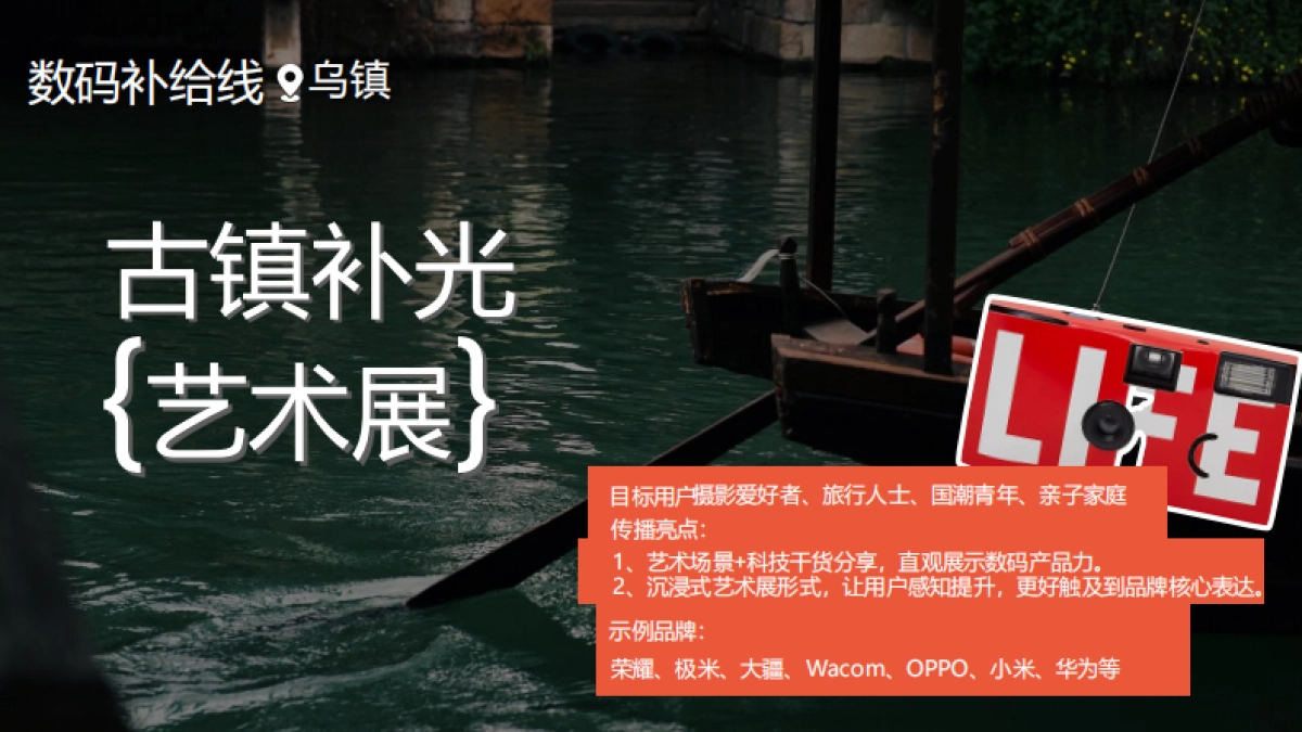 双十一快手超能补直播间_第8页