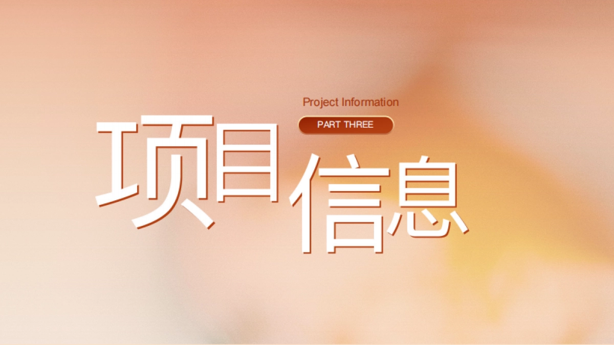 2025快手双十一狂欢夜晚会_第6页