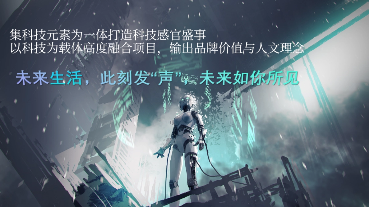 地产开放-示范区-开幕式科技生活机器人方案_第4页