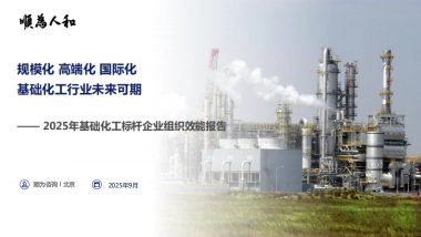 2025年基础化工标杆企业组织效能报告-顺为人和