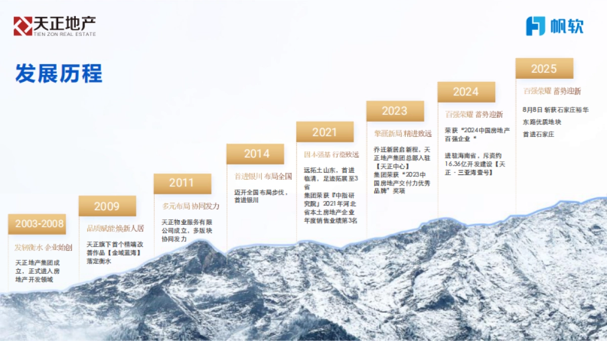 2025年让数据说话,为决策作支撑,企业数字化转型经验分享报告-帆软_第5页