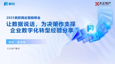 2025年让数据说话,为决策作支撑，企业数字化转型经验分享报告-帆软