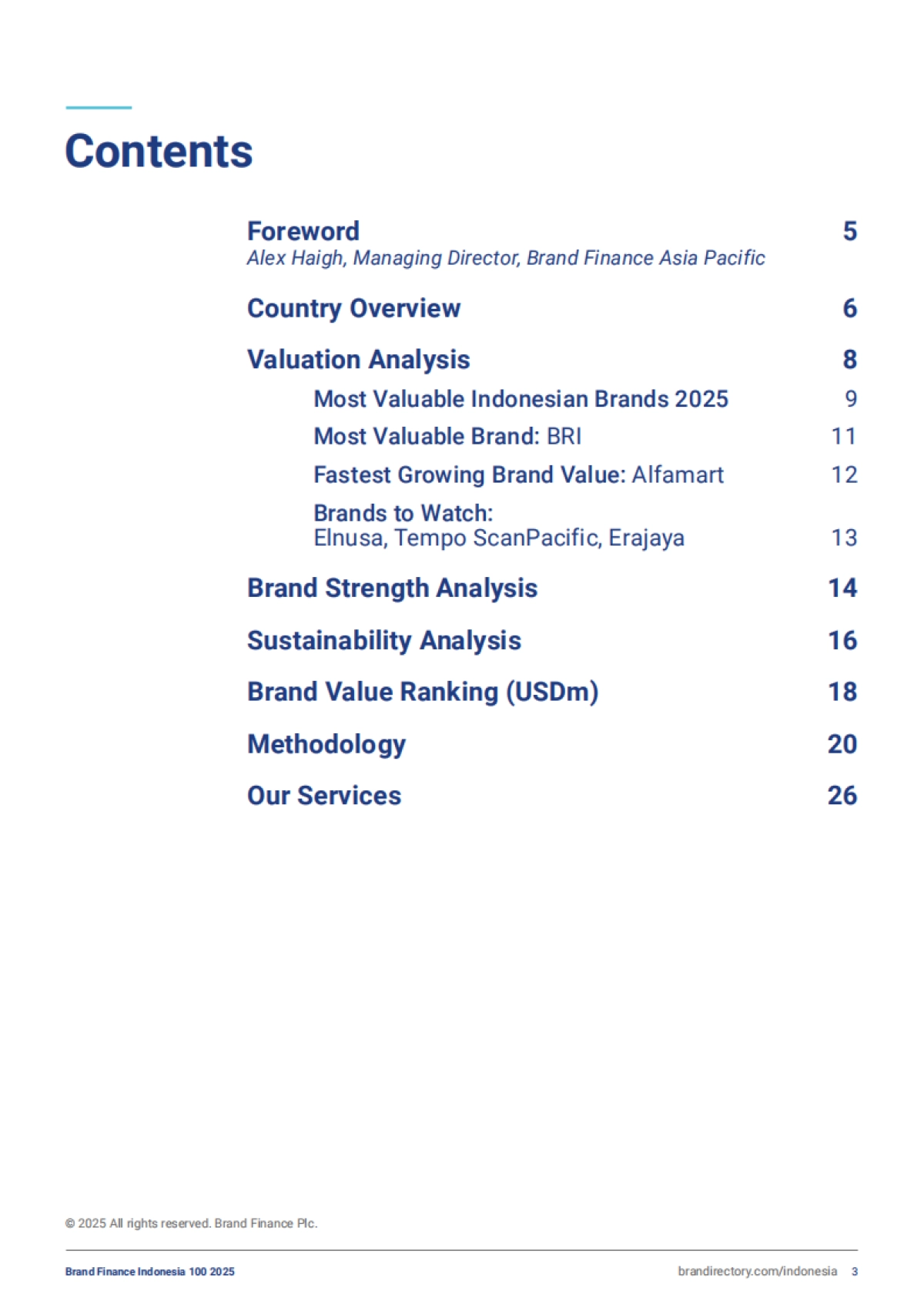 2025年印度尼西亚品牌100强-Brand Finance_第3页