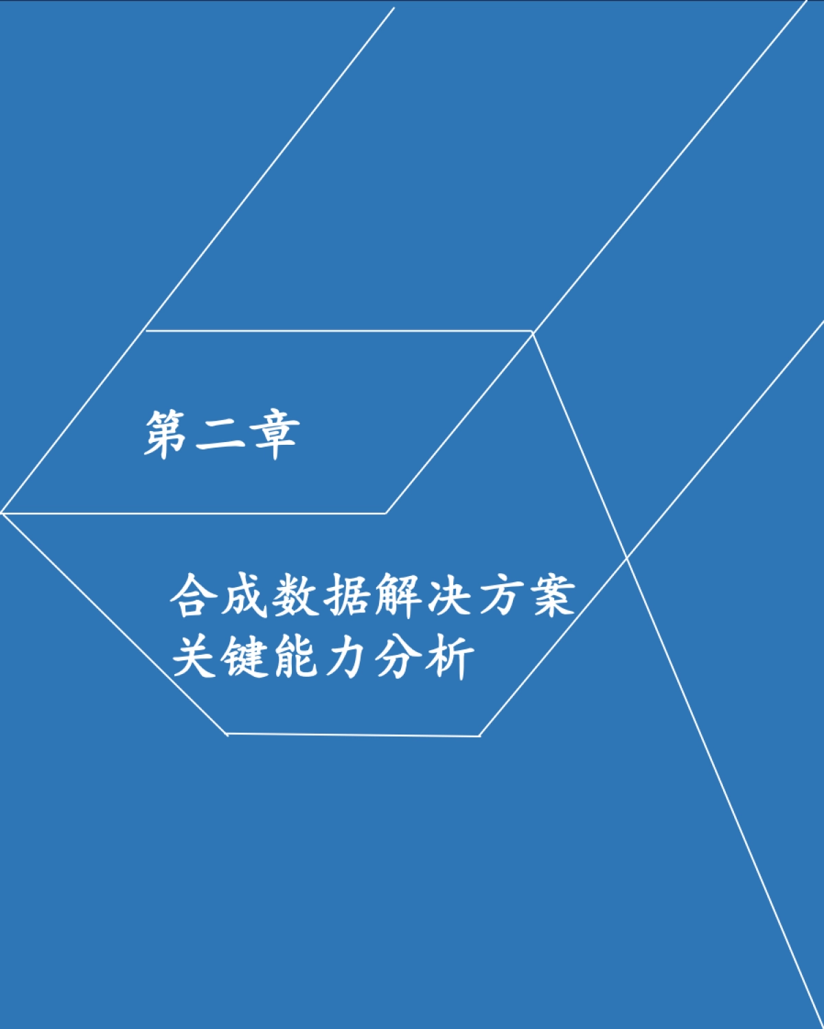 2025年中国合成数据解决方案发展洞察-沙利文_第10页