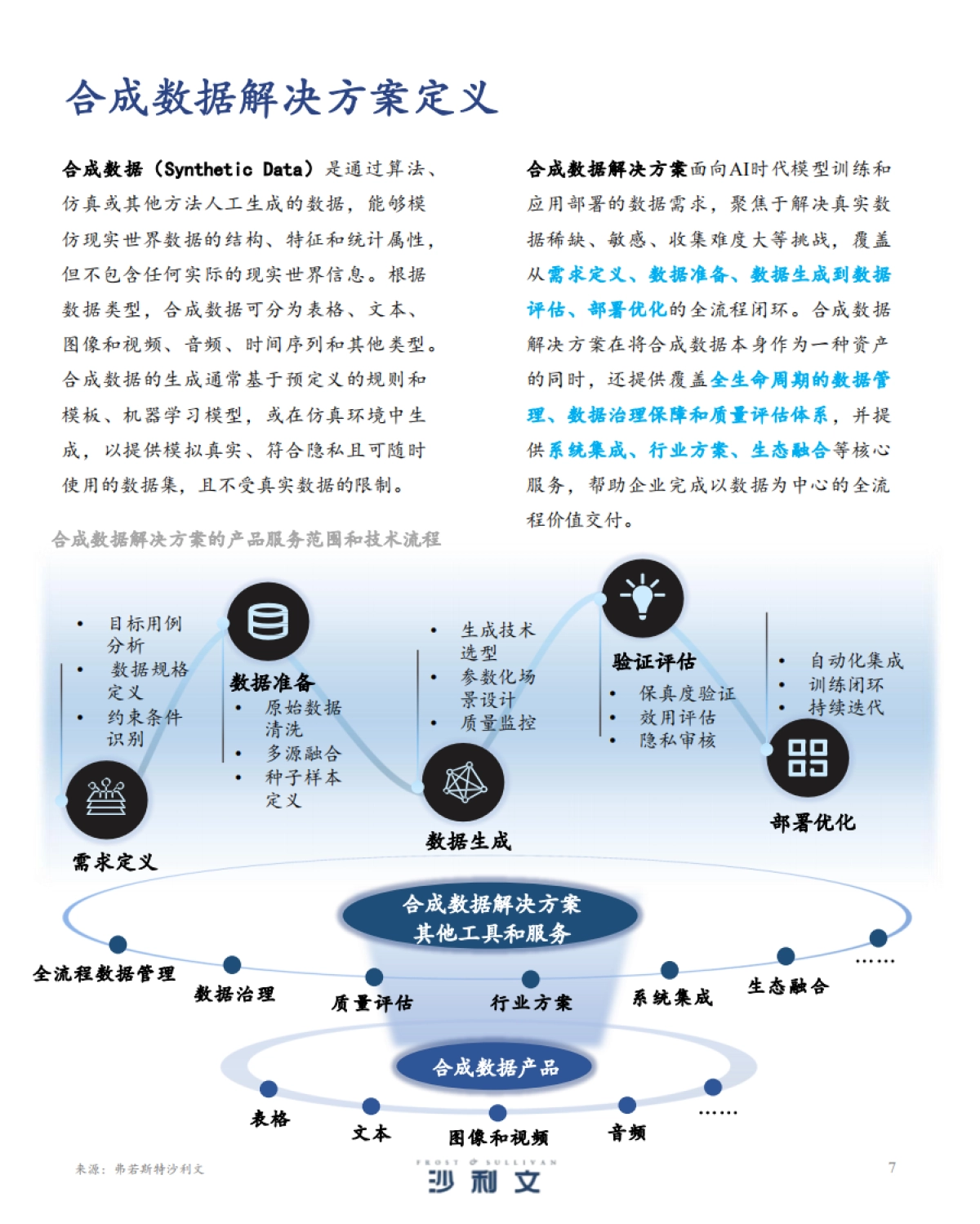 2025年中国合成数据解决方案发展洞察-沙利文_第7页