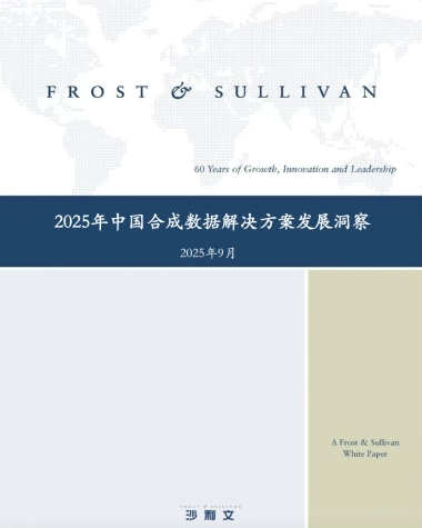 2025年中国合成数据解决方案发展洞察-沙利文