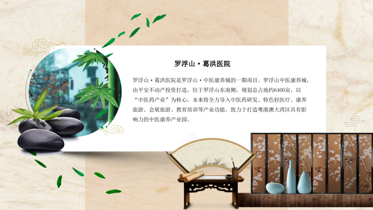 2023-葛洪中医康养医院运营方案_第2页