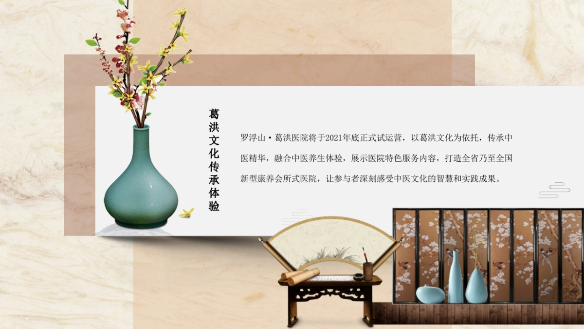 2023-葛洪中医康养医院运营方案_第3页