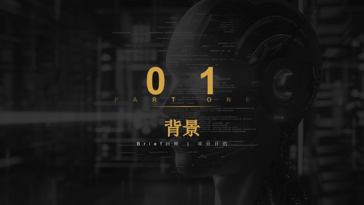 极石汽车2025Social社交媒体达人传播策略方案_第3页