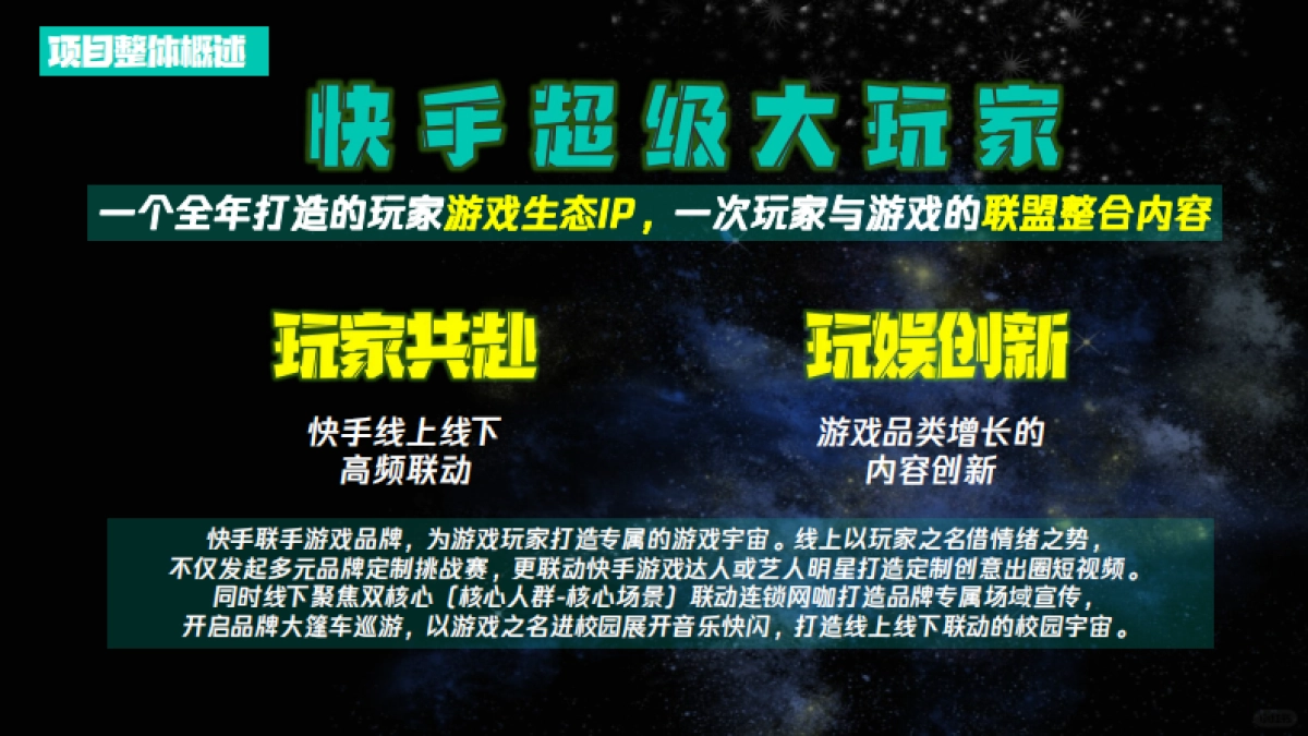 双十一《快手超级大玩家》营销通案_第9页