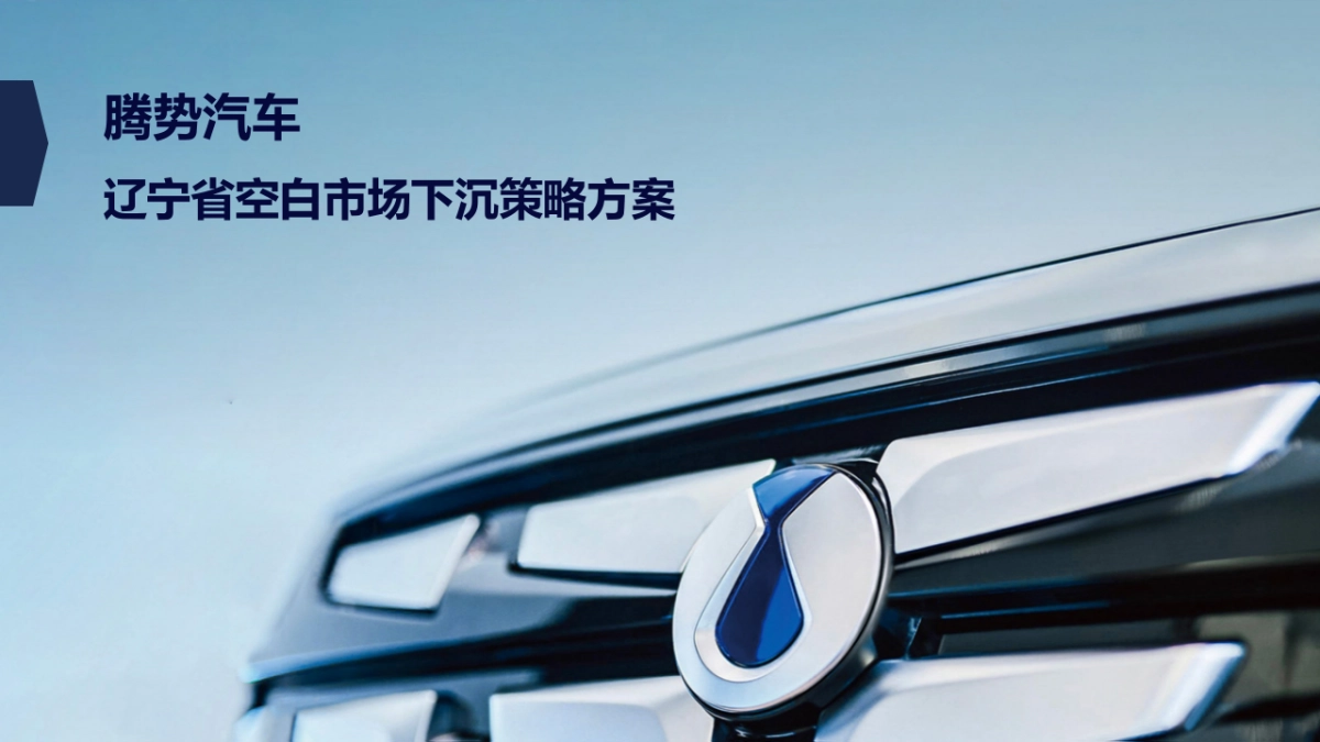 腾势汽车下沉市场策略方案_第1页