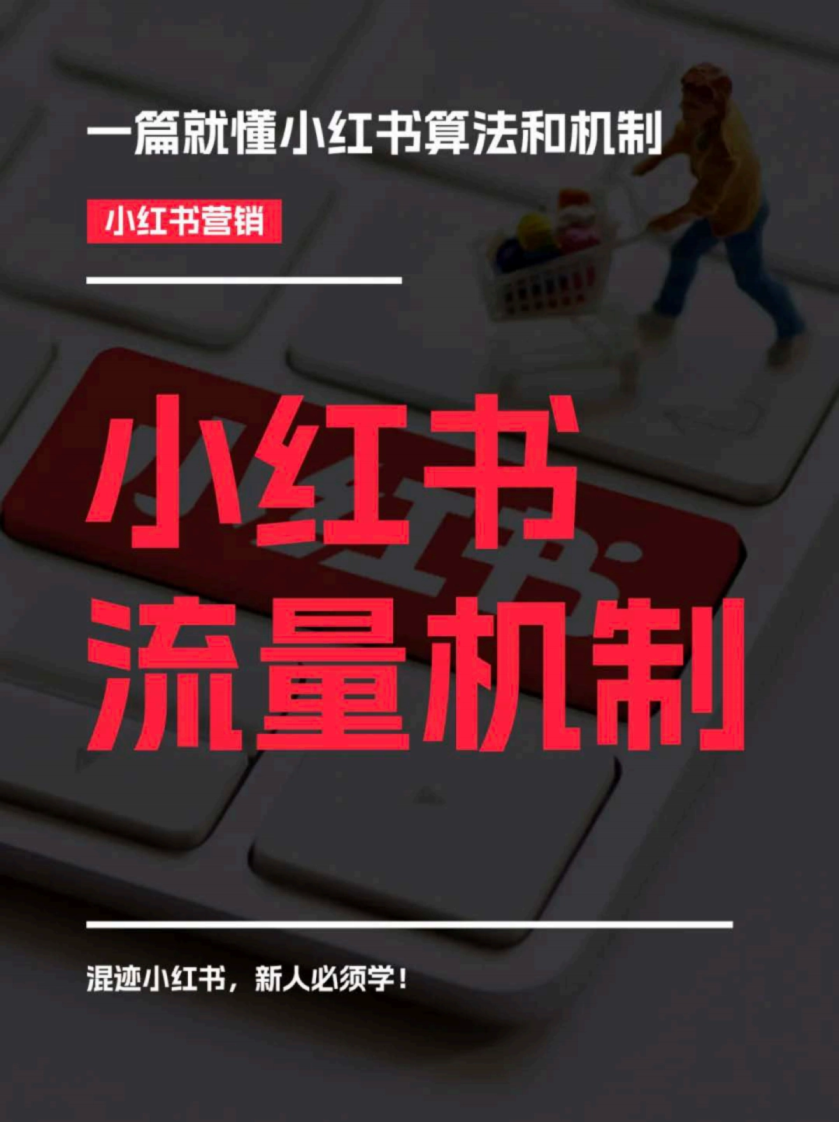 小红书流量机制_第1页