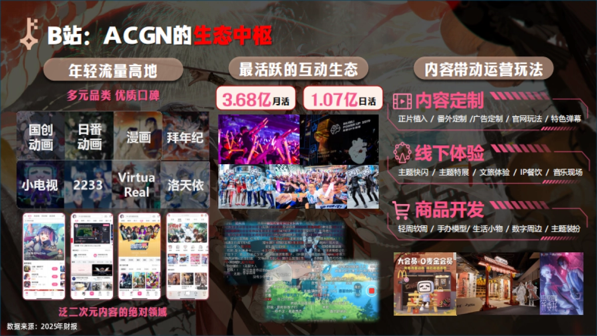 2026拜年纪招商方案_第5页