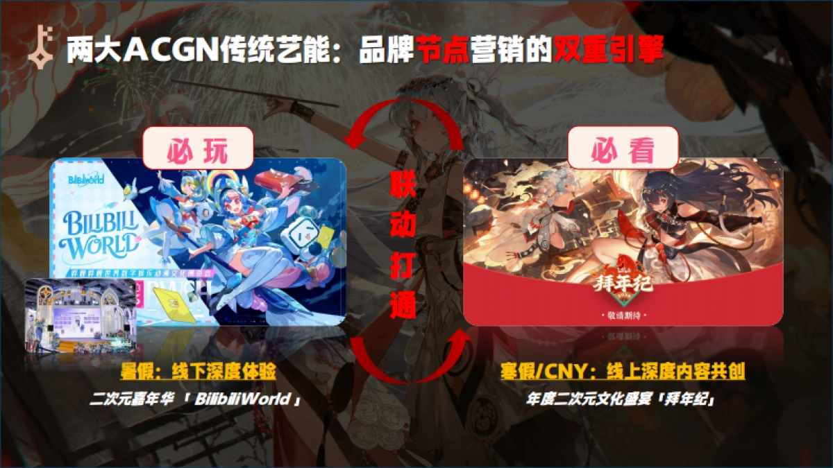 2026拜年纪招商方案_第6页