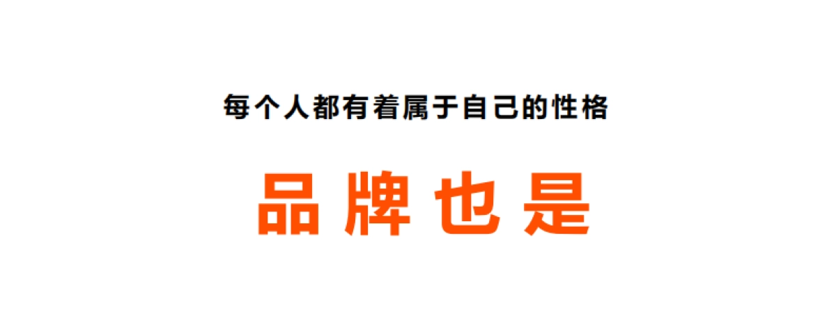 2024深海鳀鱼全国上市整合营销传播规划方案_第4页