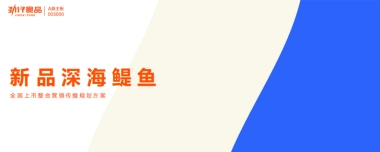 2024深海鳀鱼全国上市整合营销传播规划方案