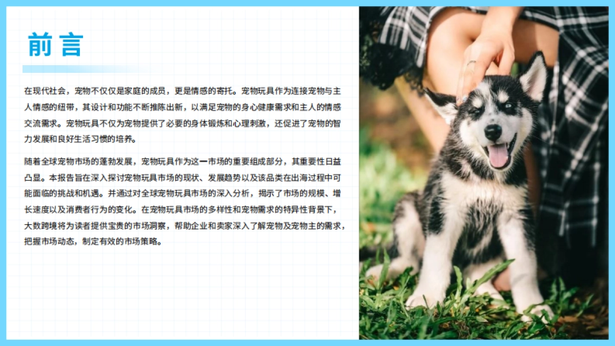 2024宠物玩具出海研究报告-大数跨境_第2页