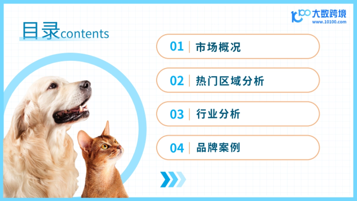 2024宠物玩具出海研究报告-大数跨境_第3页