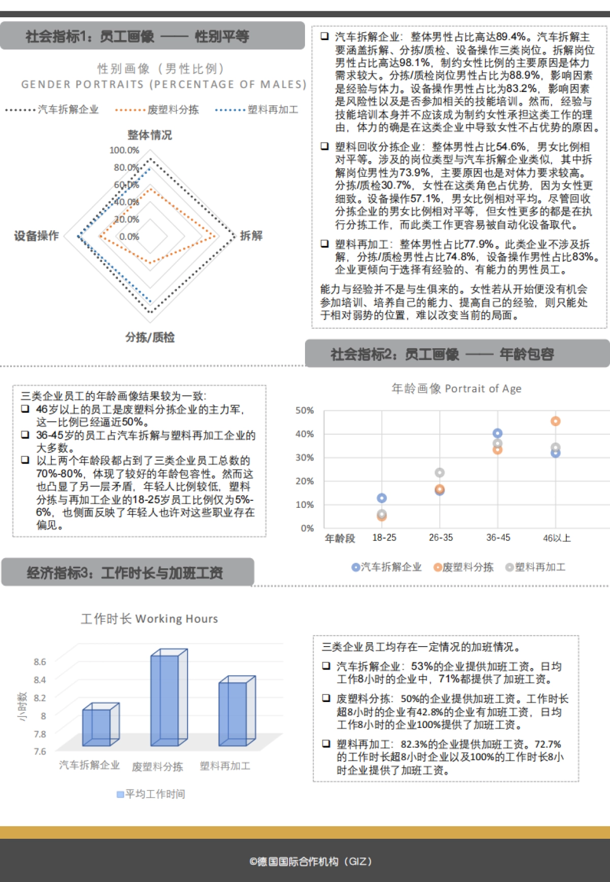 2024中国汽车塑料回收产业图景及经济社会与环境影响研究报告-GIZ_第9页