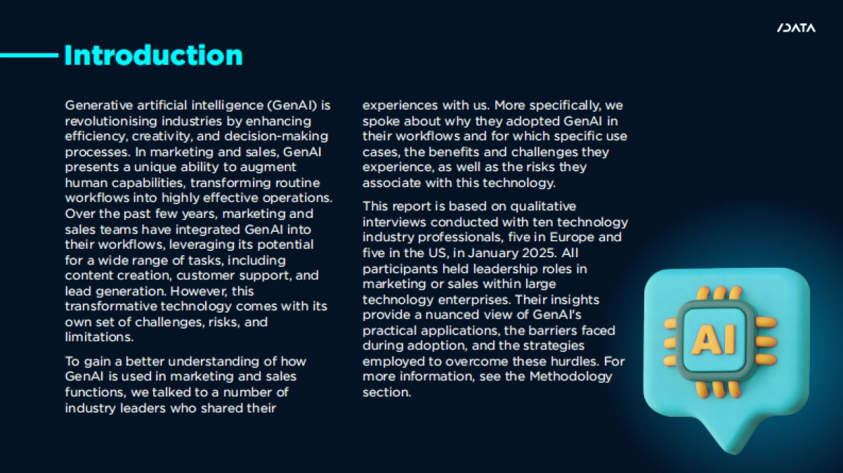商业生成式AI：成功、挑战和未来_第2页